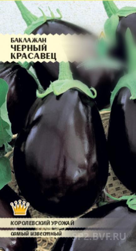 Черный опал баклажан описание сорта фото